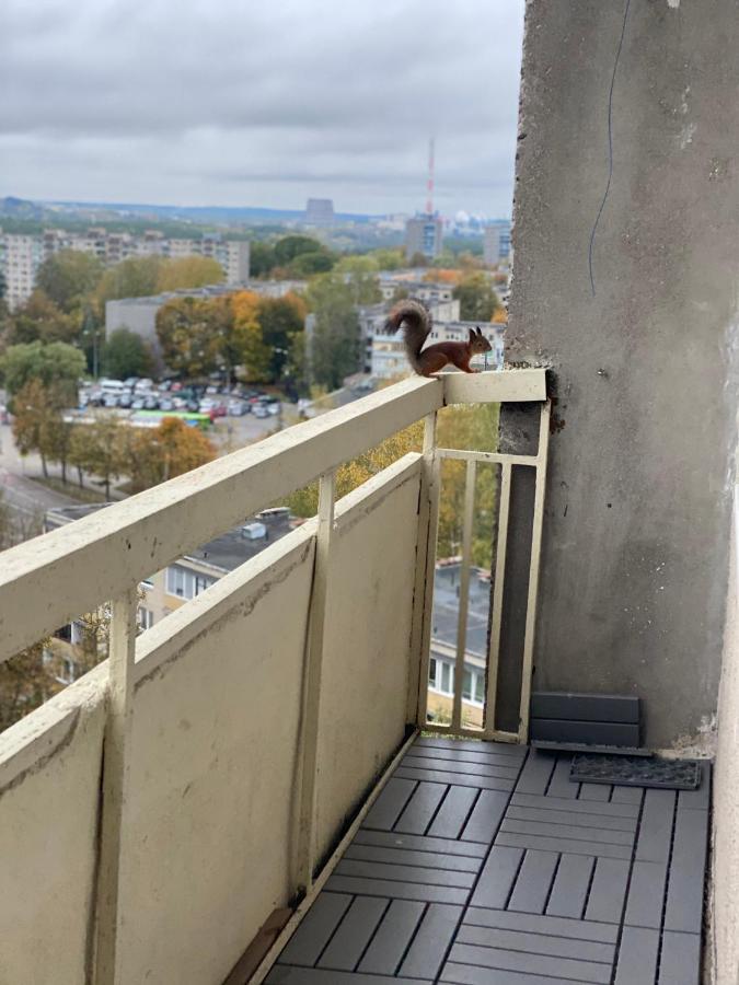 Panoramic View And Free Parking Vilnius